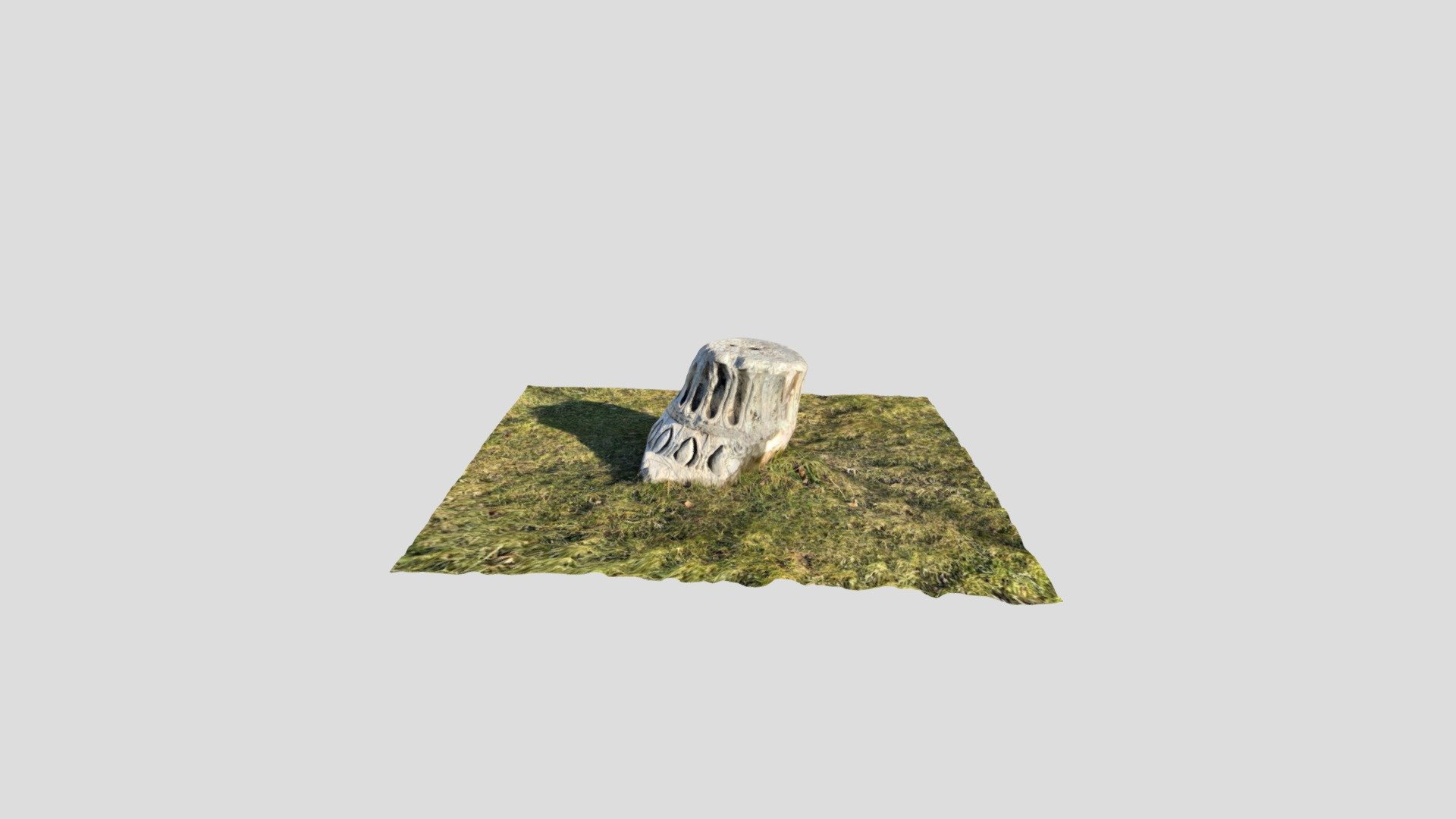 POLYCAM CHAPITER RAW