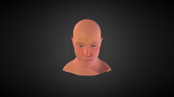 Likeness Bust 3D Model