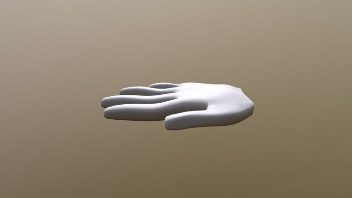 Hand First Attempt 3D Model