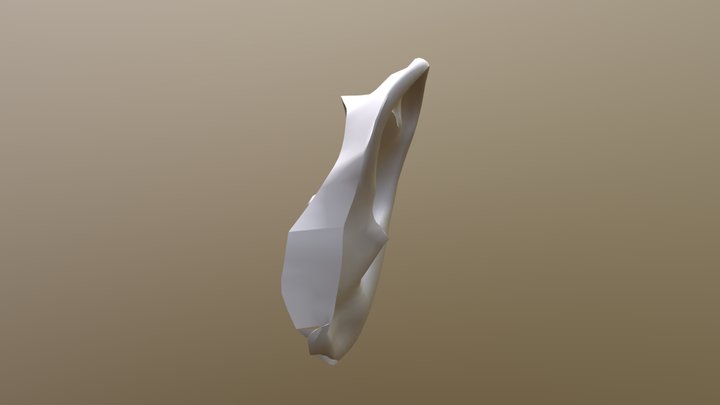 Oreja 3D Model