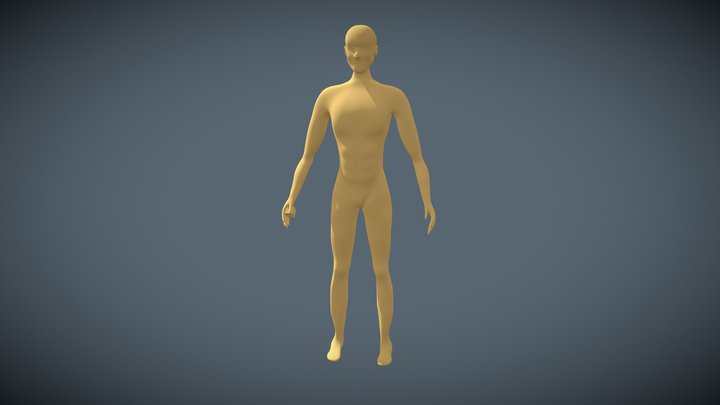 Human Model 3D Model
