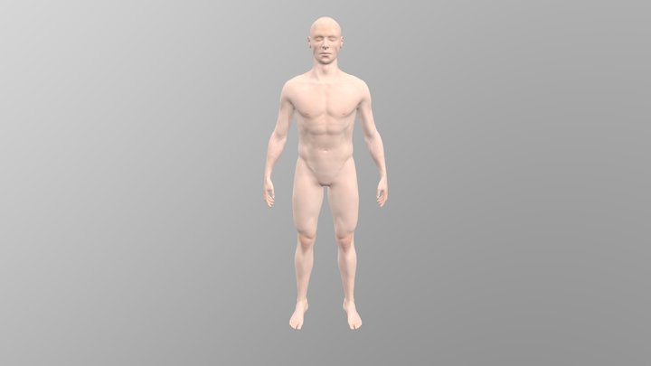 Male full body anatomy 3D Model