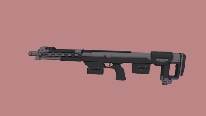 DSR1 3D Model