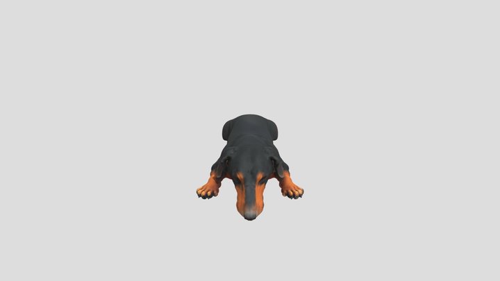 Stretching Paws 3D Model
