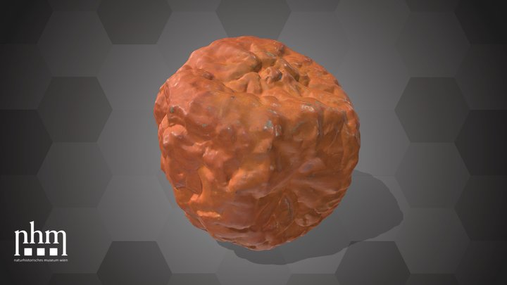 Orange (NHMW-AFW-DING-0046-006) – Kostenloses 3D-Modell STL