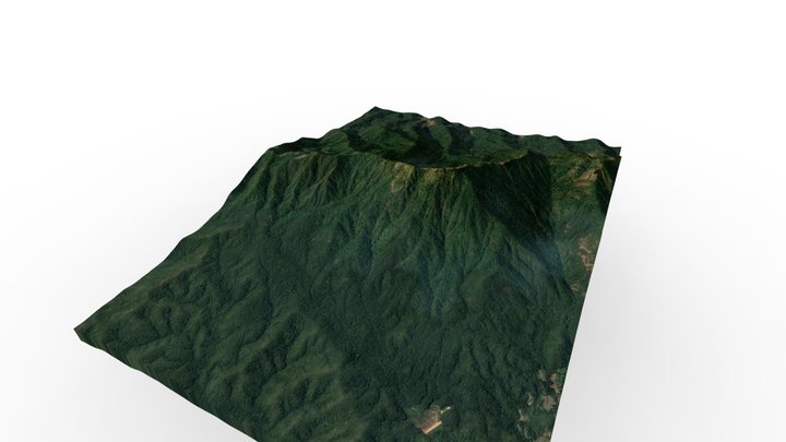 untitled 3D Model