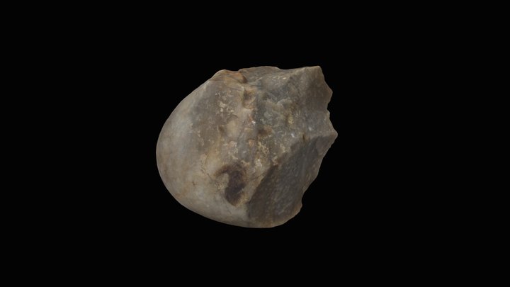 Cerutti 165 - Core ground stone 3D Model