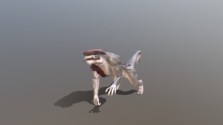Cove Drake 3D Model