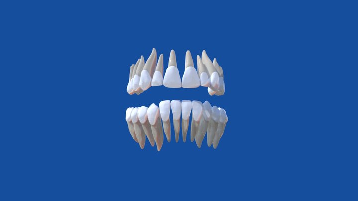 f5ljkj456 3D Model