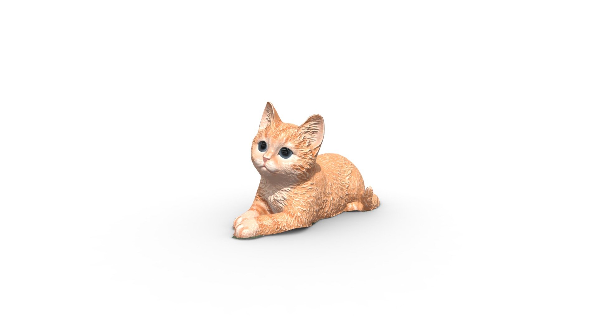 Photogrammetry Cat - 3D model by hollysumner [169fdaf] - Sketchfab