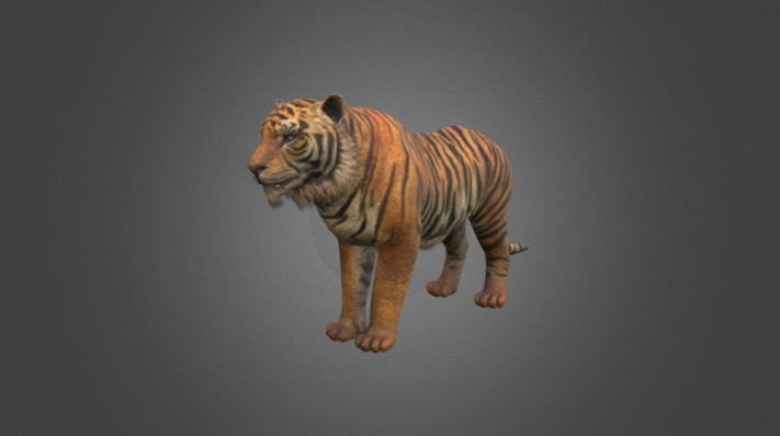 Howl-80frame - 3D model by PinkCloud Studio (@pinkcloudstudio) [16a07af ...