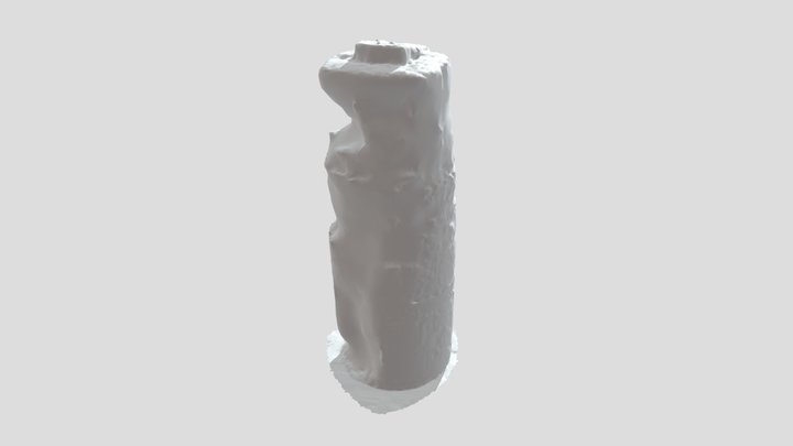 Body_Spray 3D Model