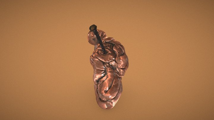 A House 3D Model