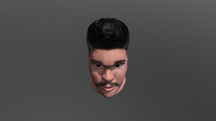 Realistic Facial Bust 3D Model