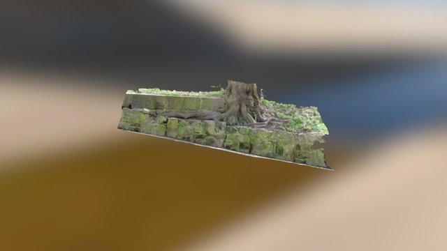Tree Luxembourg 3D Model