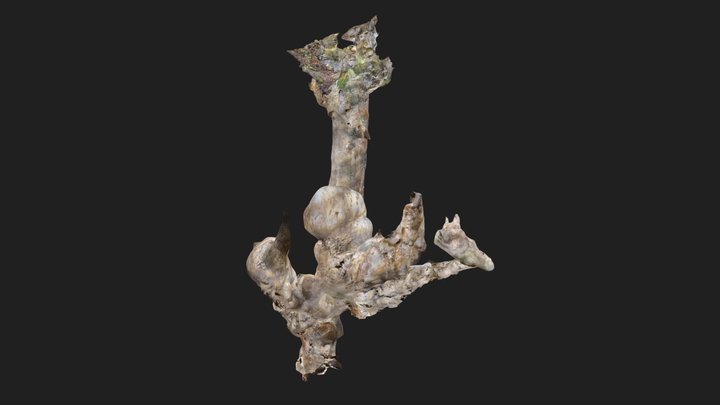 Háromlyukú-zsomboly 2022 3D Model