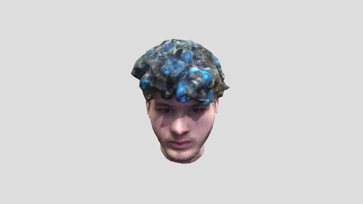 Jmancurly head 3D Model
