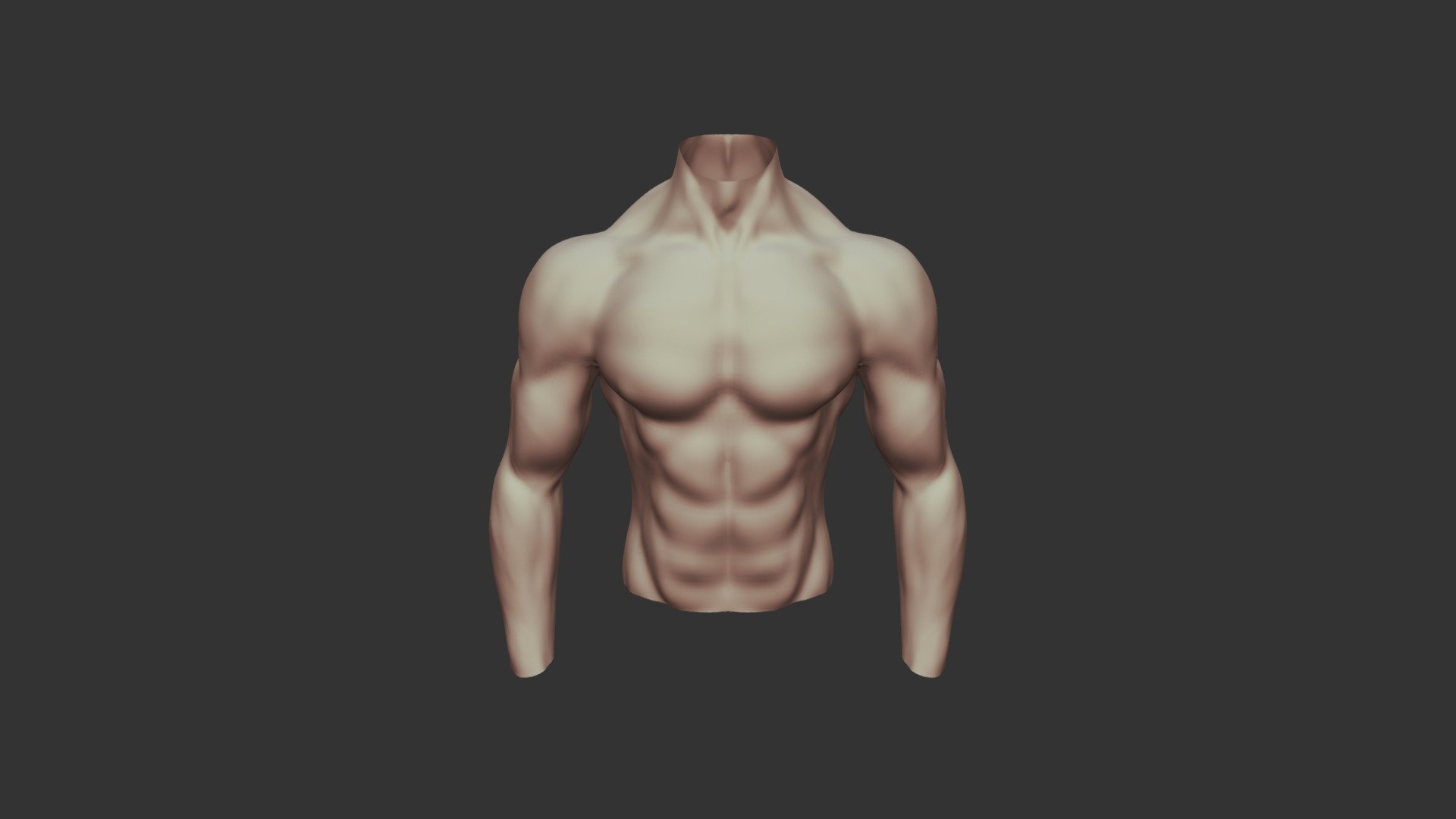 Body Torso - 3D model by Erwares [16ad120] - Sketchfab