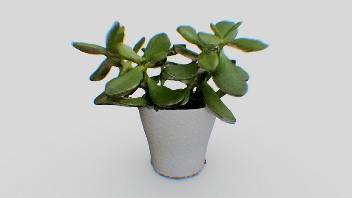 Plant in a Pot – Modello 3D gratuito STL