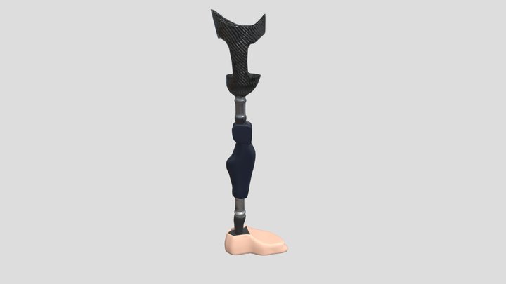 2DAE07 Prosthetic leg 3D Model
