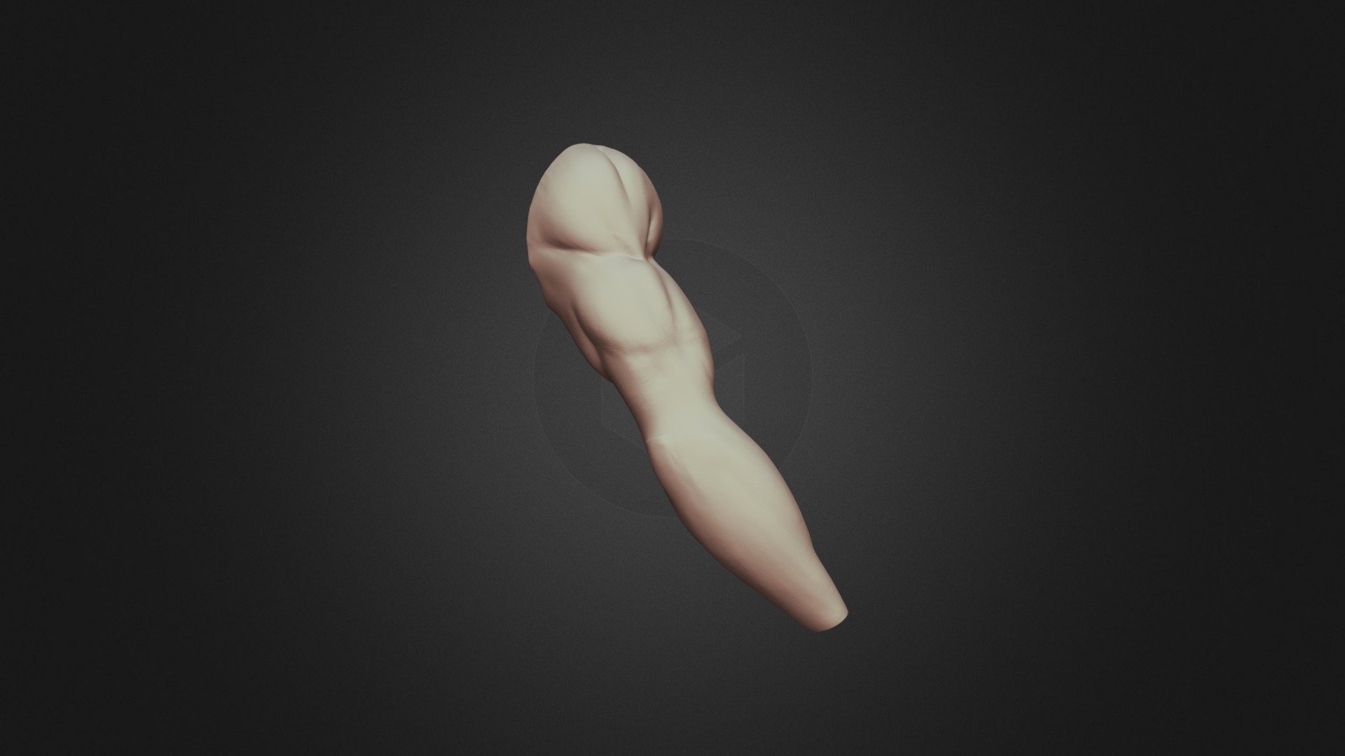 SculptJanuary 15| Arm