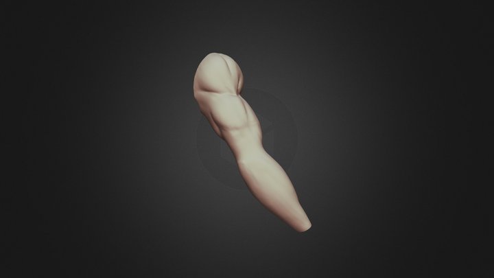 SculptJanuary 15| Arm 3D Model