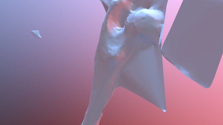 McBride_Femur_Left Femur (Caudel view) 3D Model