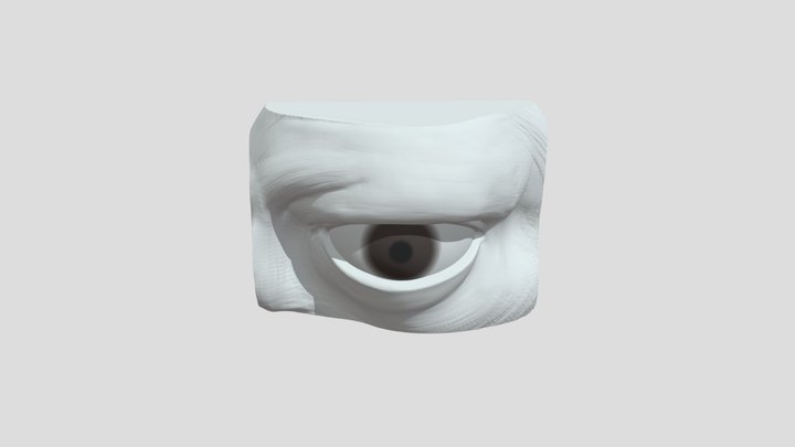 Final Eye Sculpt 3D Model