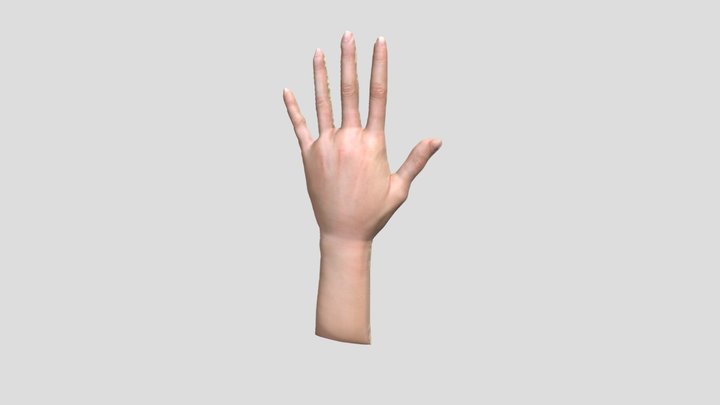 Tangan/hand 3D Model