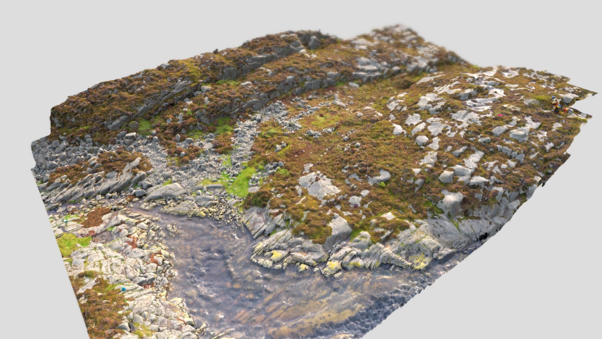 Hjartøy FG001