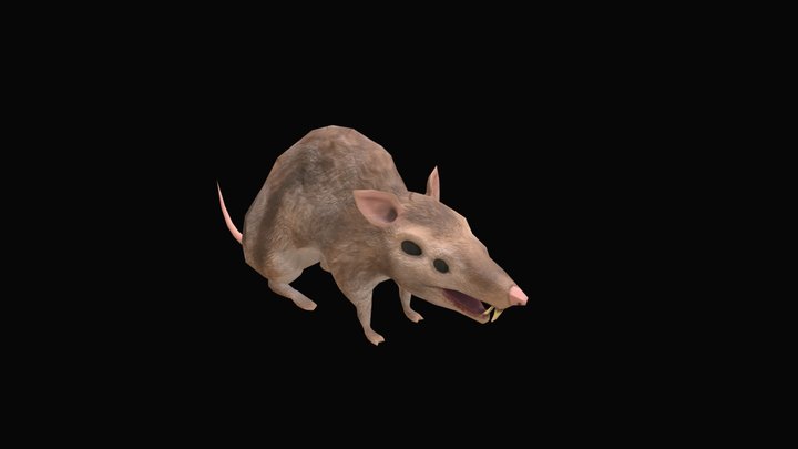 Bandicoot 3D Model