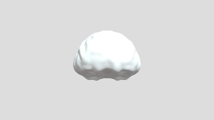 Brain 3D Model