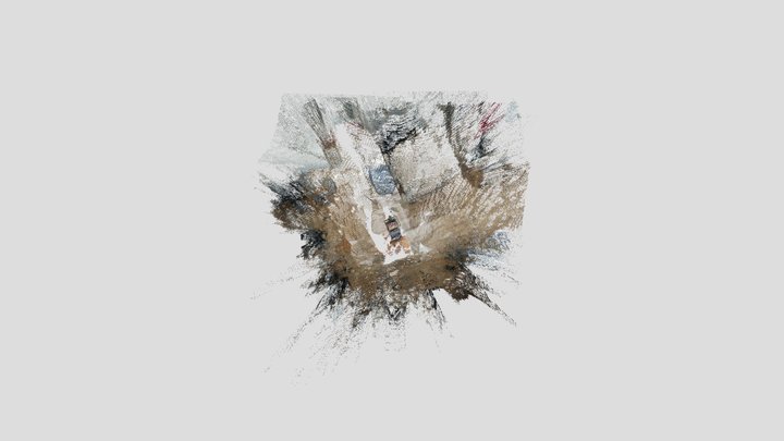 Elf_no_human_point_cloud 3D Model