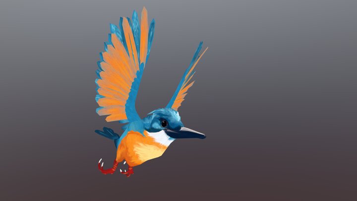 Handpainted Stylized Kingfisher 3D Model