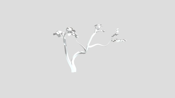 Plantandleaf 3D Model