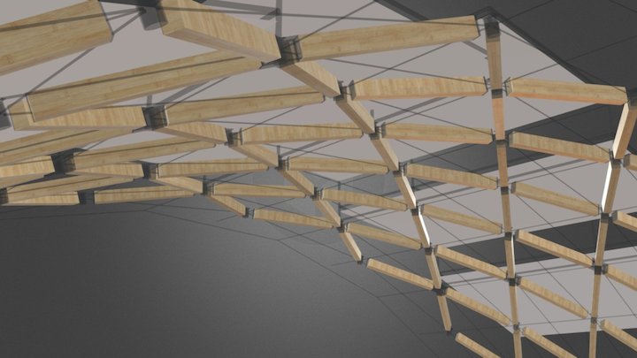 Diagrid Barrel Vault And Diamond Trusses 3D Model
