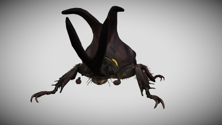 beetle thing – Modello 3D gratuito STL