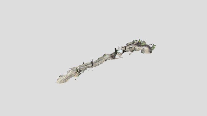 Pamplemousse 3D Model