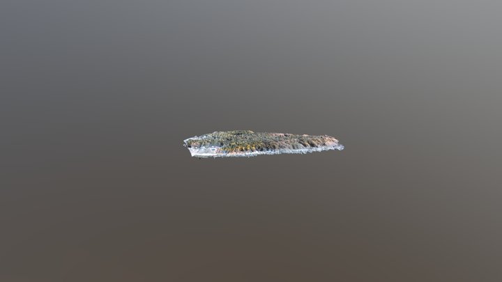 Daugėlių Pušynas, Kuršėnai 3D Model