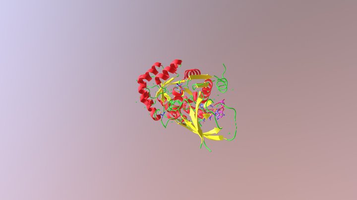 Ornithine Decarboxylase and Geneticin 3D Model