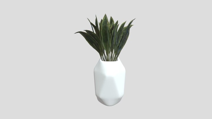 Plant – Free 3D Model STL