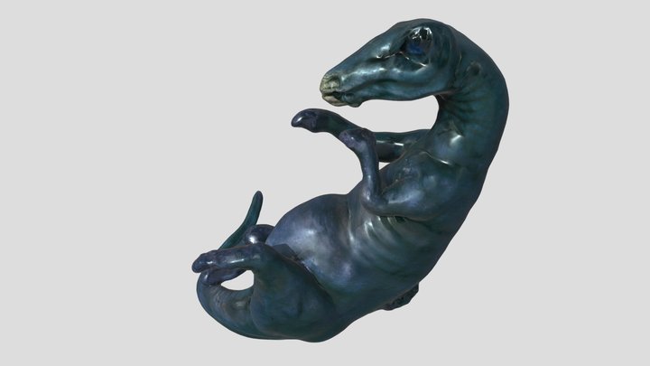 embryo 5