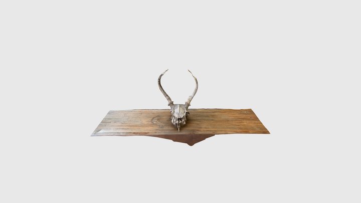 Skull no 1 3D Model