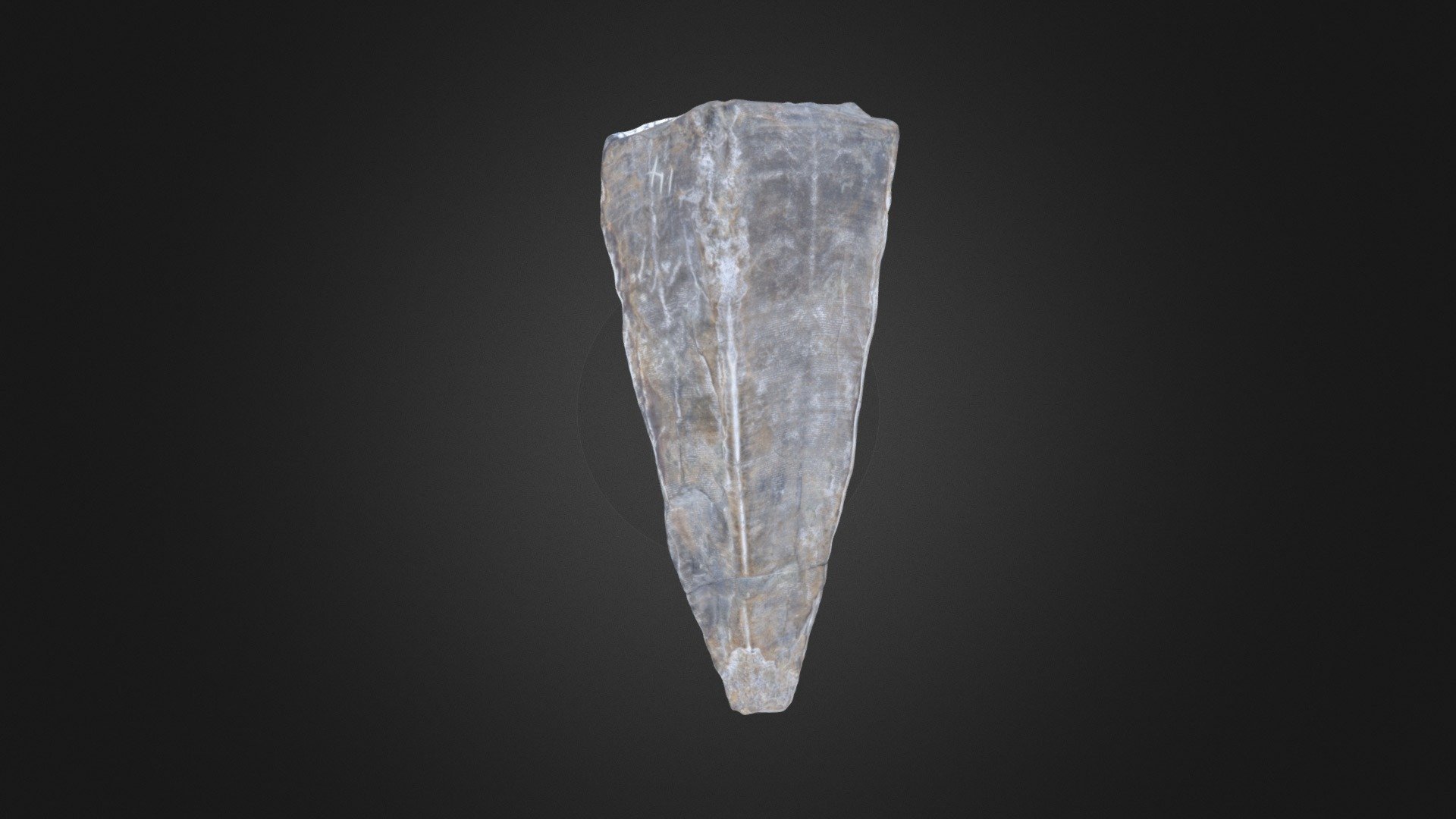 Conularid: Conularia undulata (PRI 49860) — Sketchfab embed 3D viewer