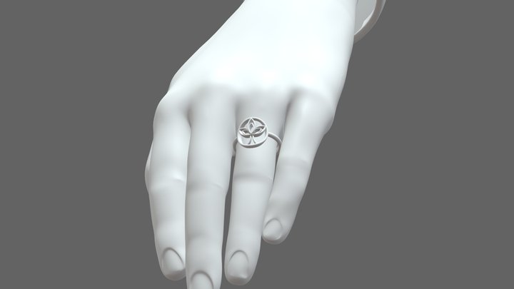 Ring 3D Model