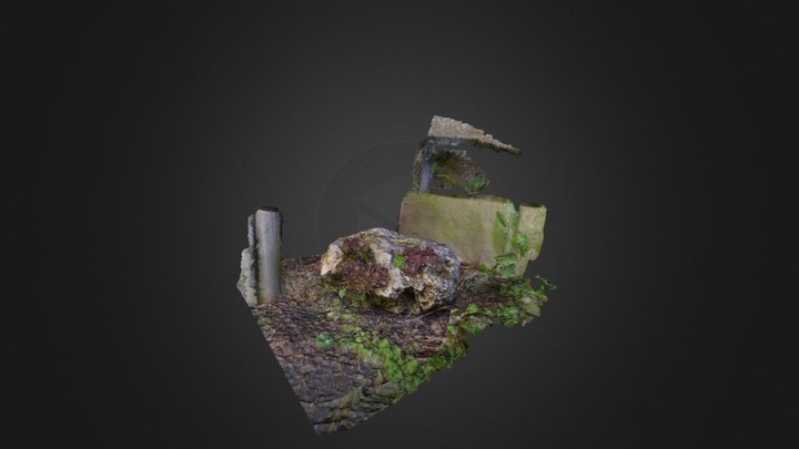Rock plants 3D Model