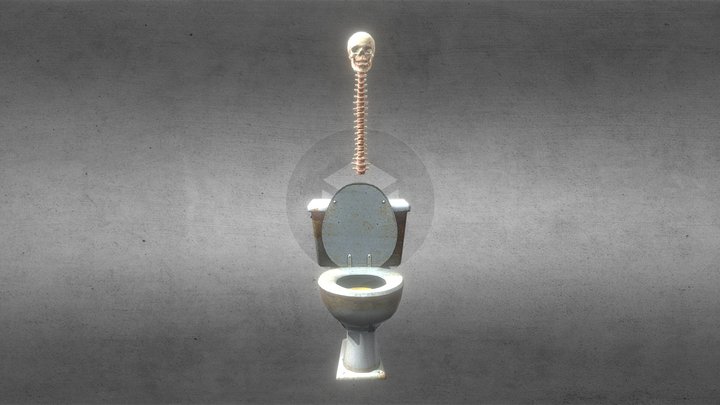 skeleton toilet 3D Model