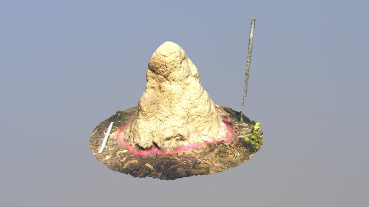 Termite mound Tp7-2016 3D Model