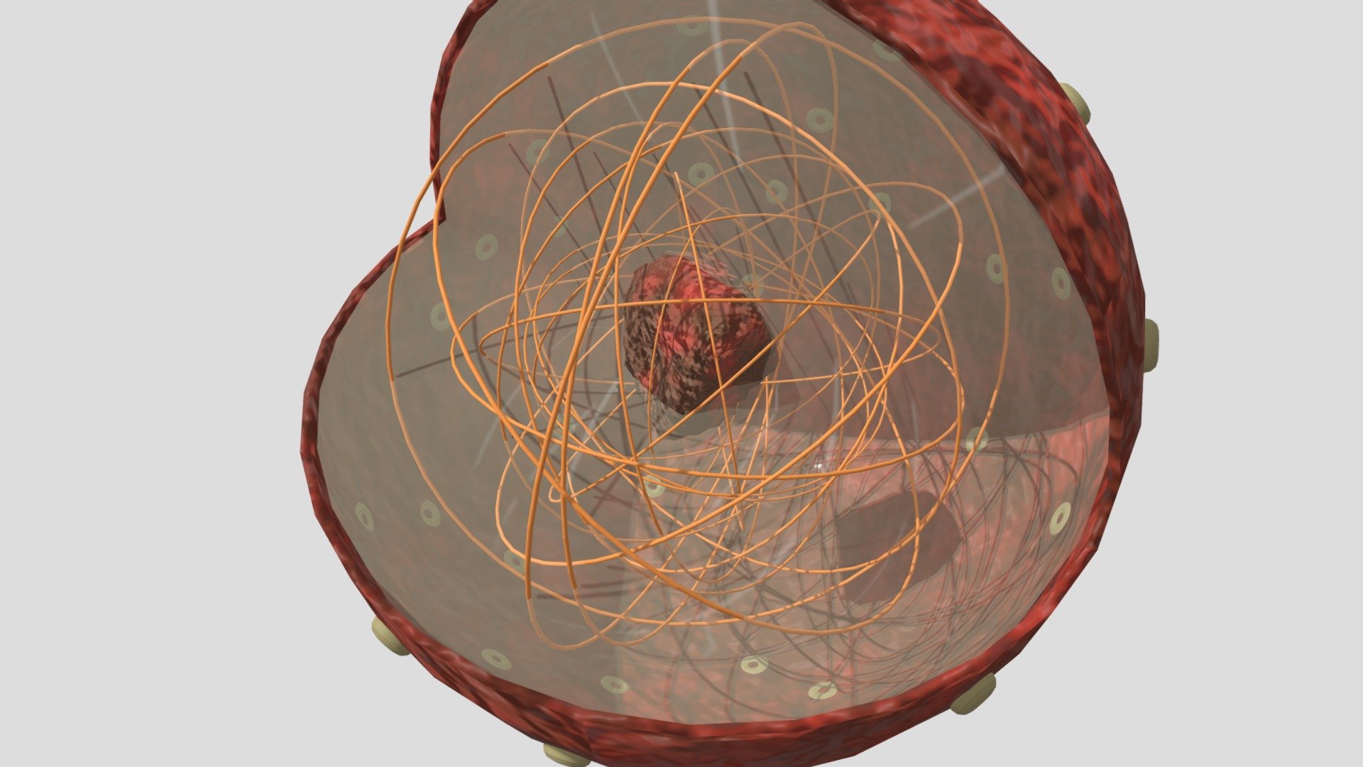 Nucleus - Download Free 3D model by peyton2121 [16e89aa] - Sketchfab