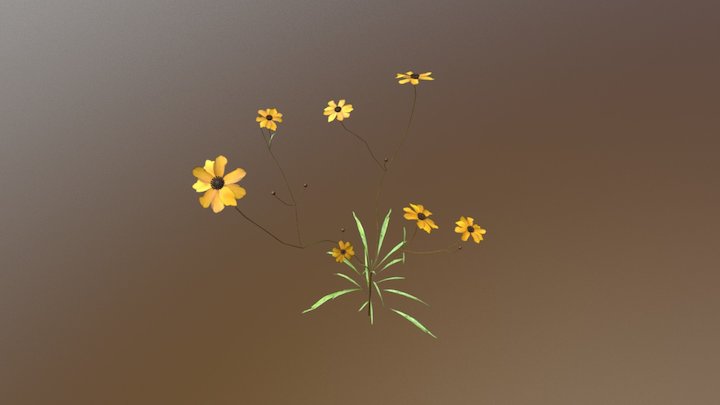 Tickseed (Coreopsis Leavenworthii) 3D Model